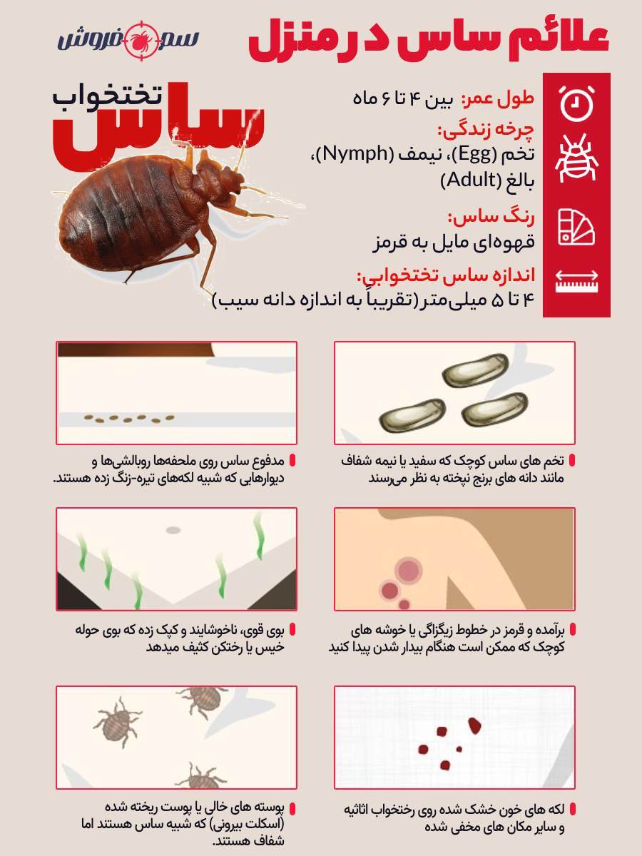 عکس ساس خانگی
