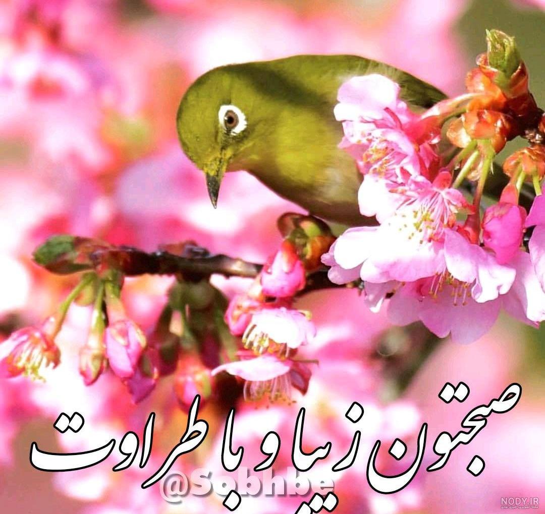 عکس نوشته صبح بخیر قرآنی