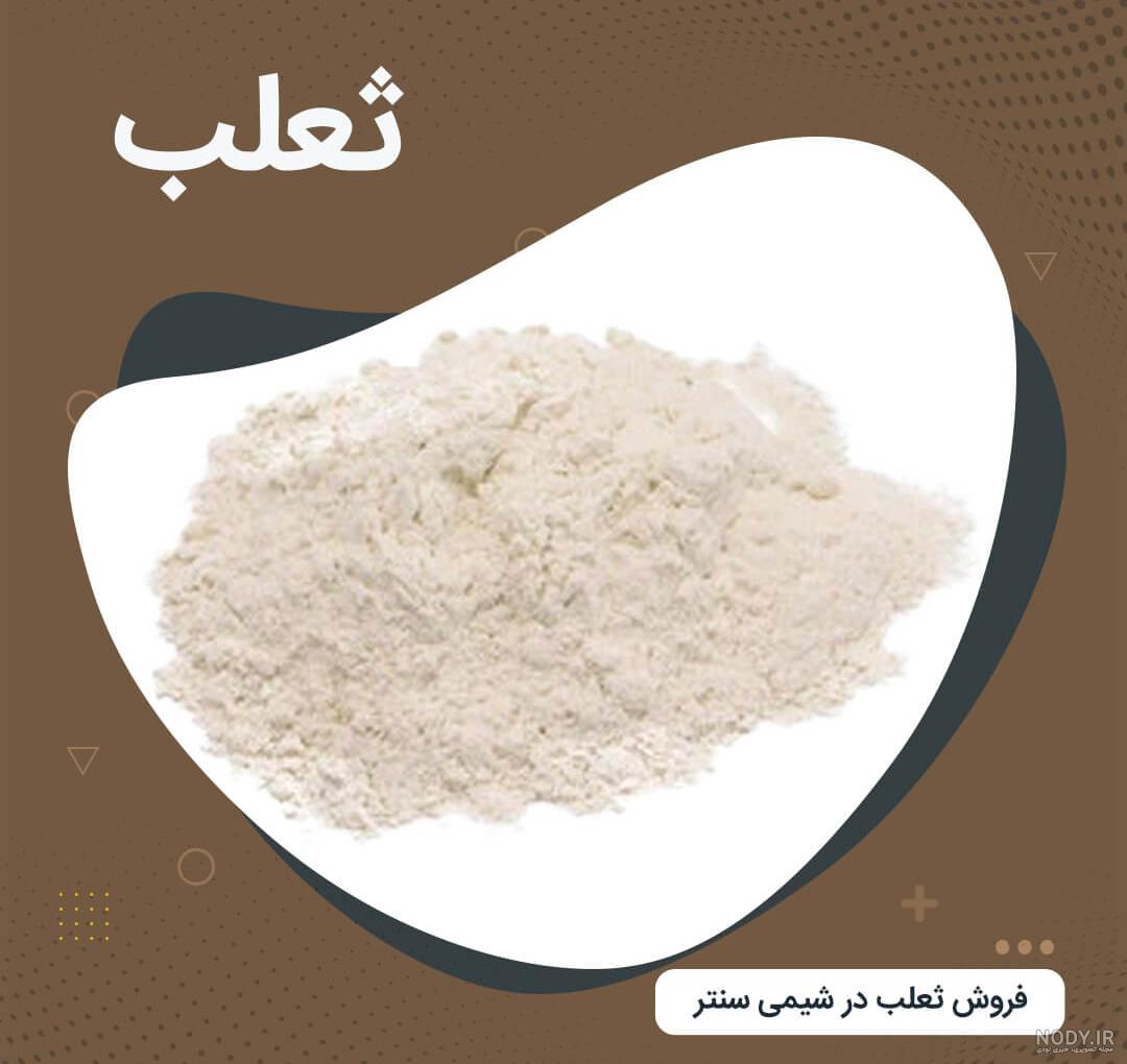 عکس ثعلب بستنی