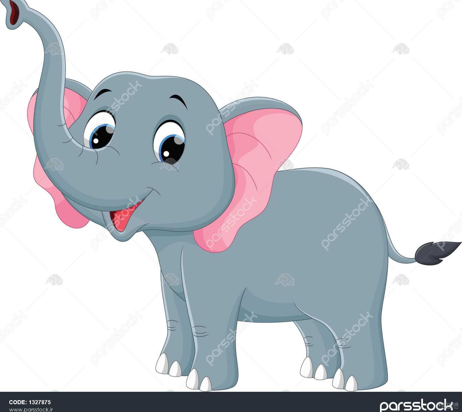 عکس فیل