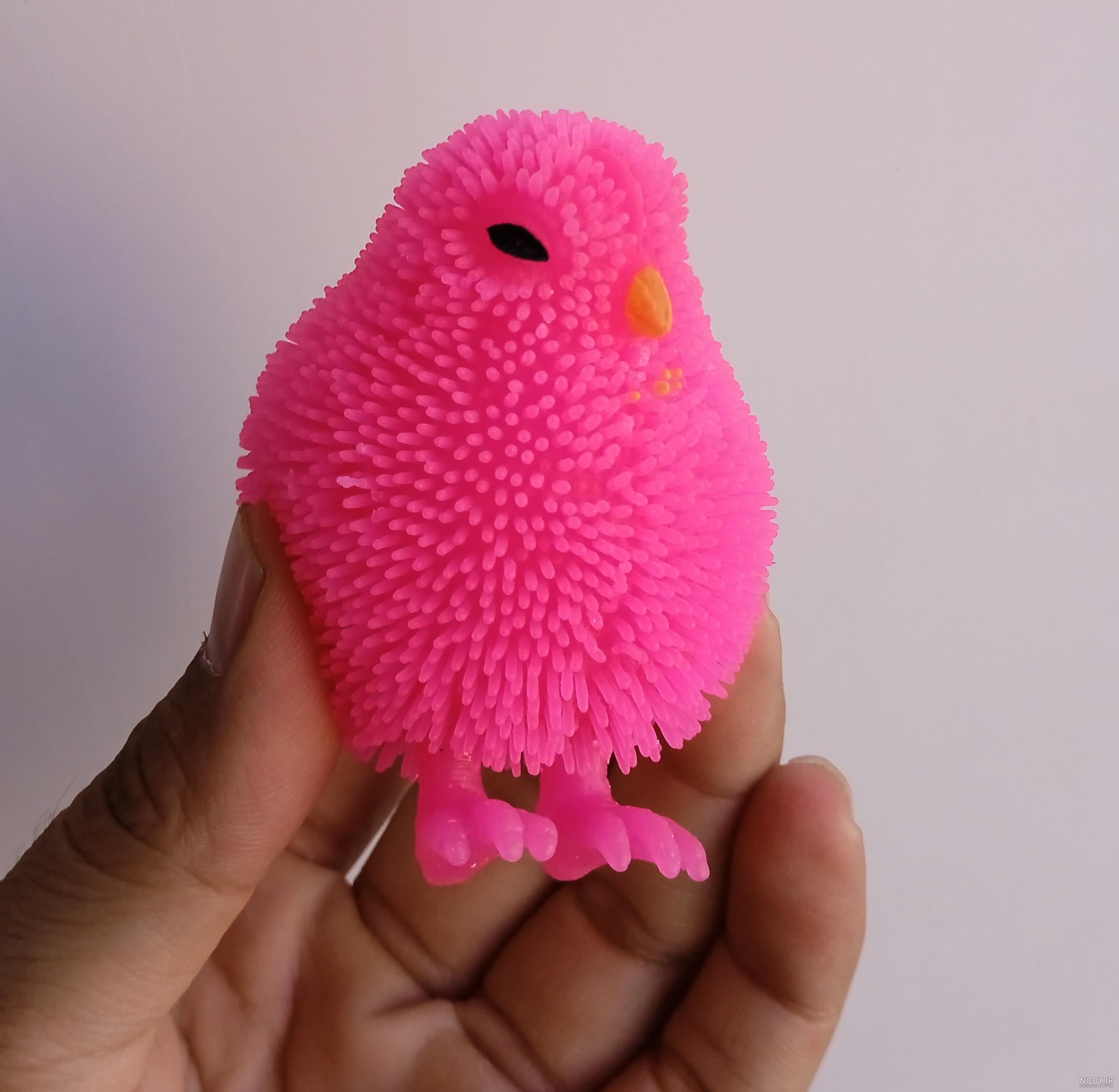 عکس جوجه رنگی