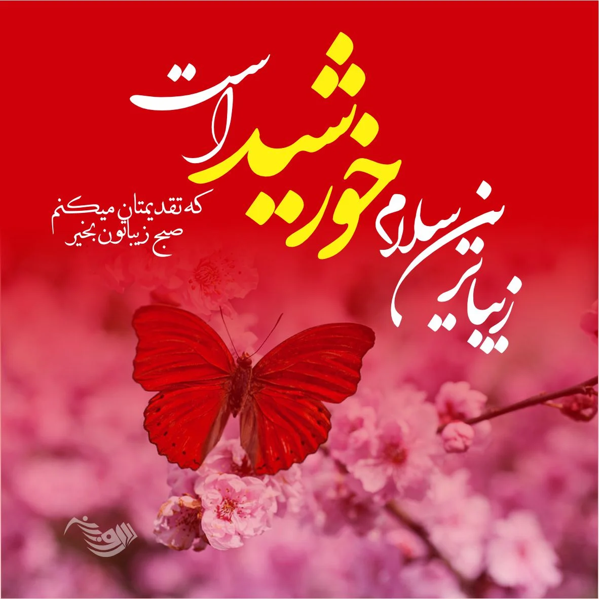 عکس صبح بخیر با صلوات