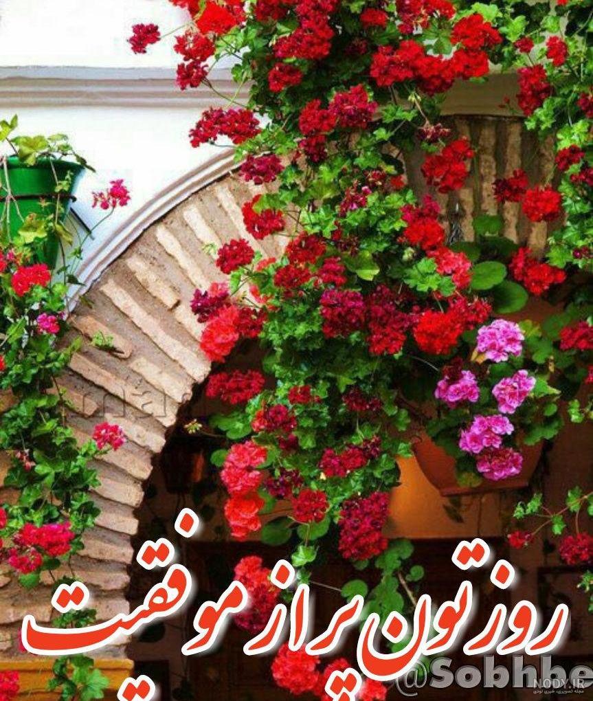 عکس ظهر بخیر عاشقانه