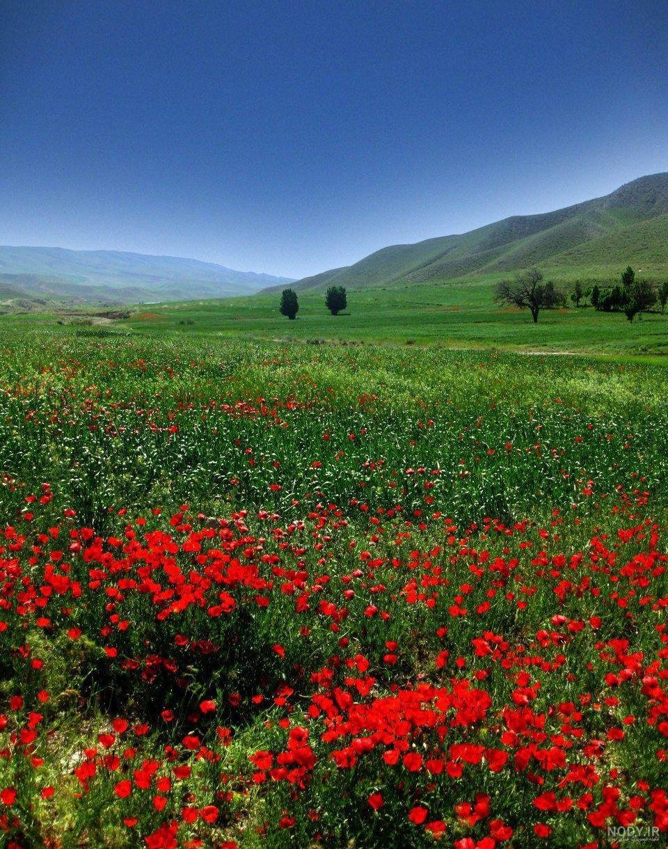 عکس طبیعت