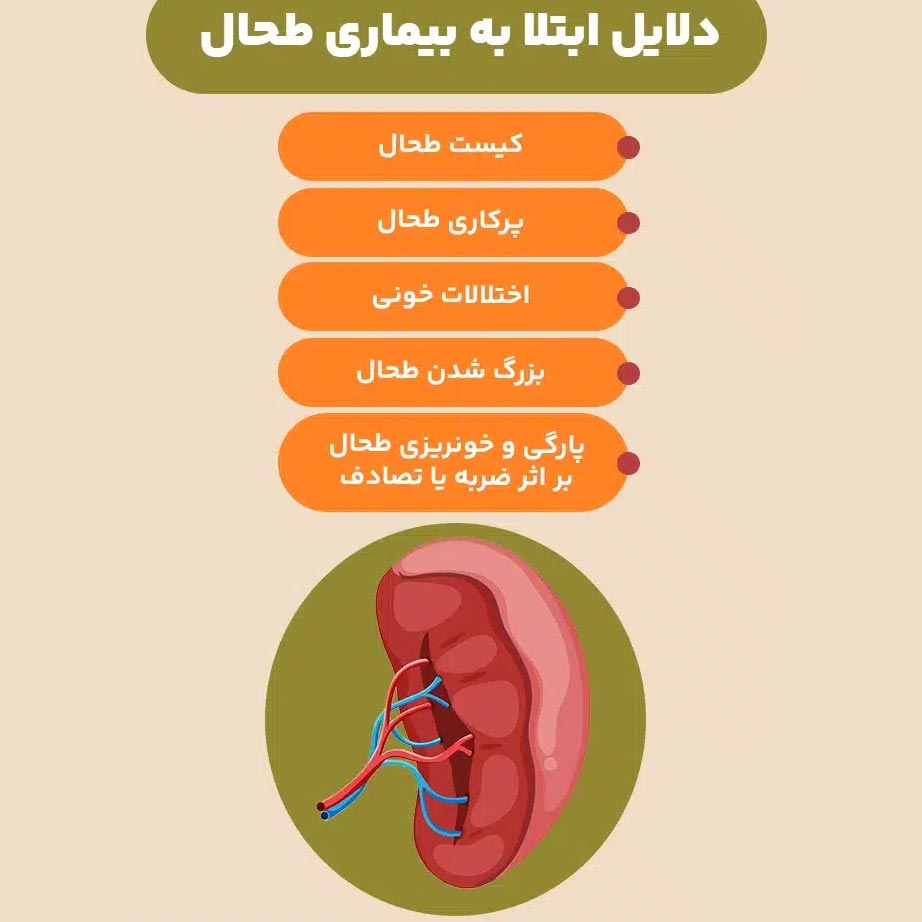 عکس طحال