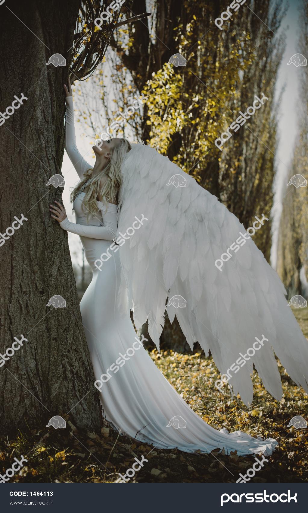 عکس فرشته