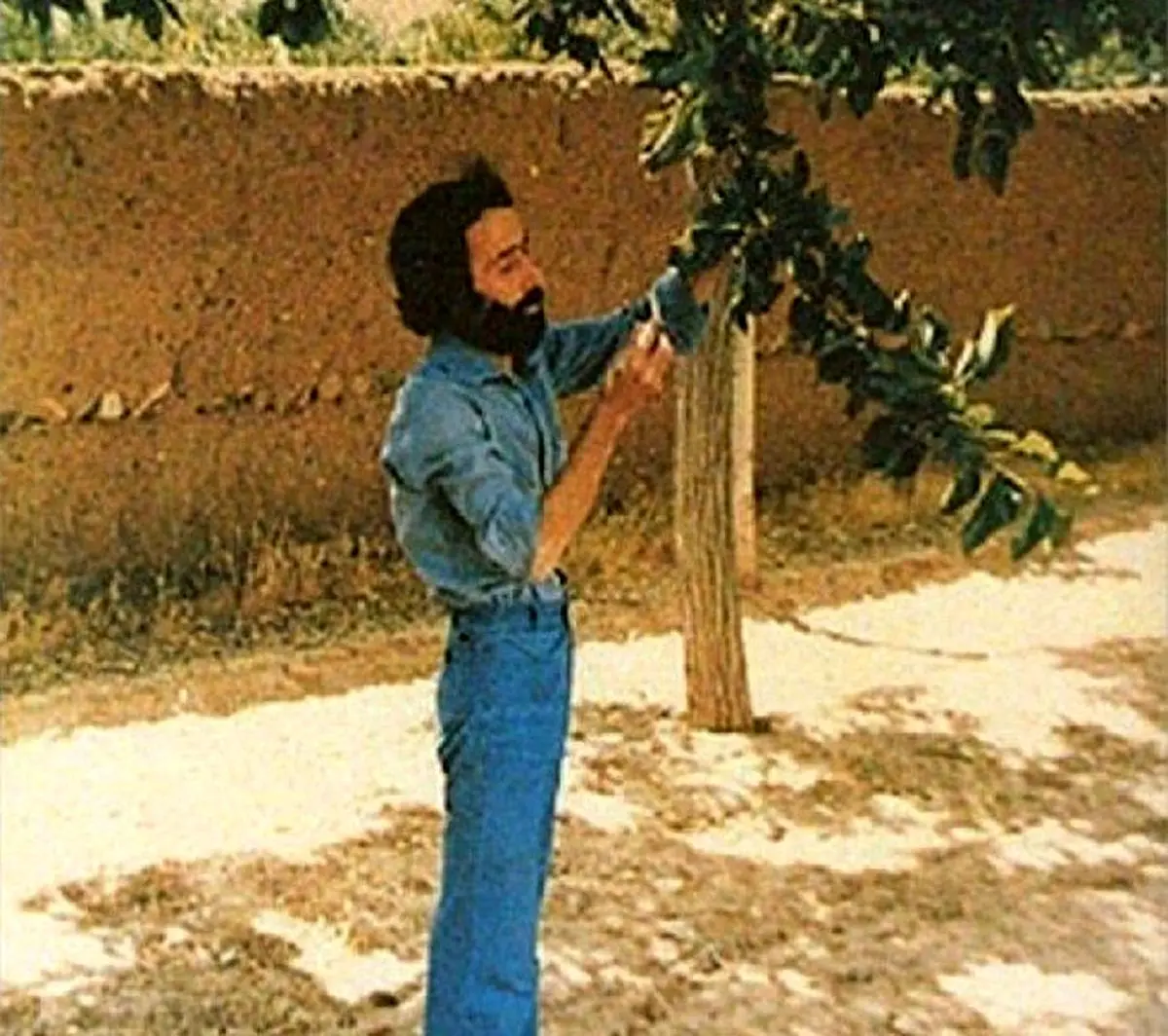 عکس سهراب سپهری