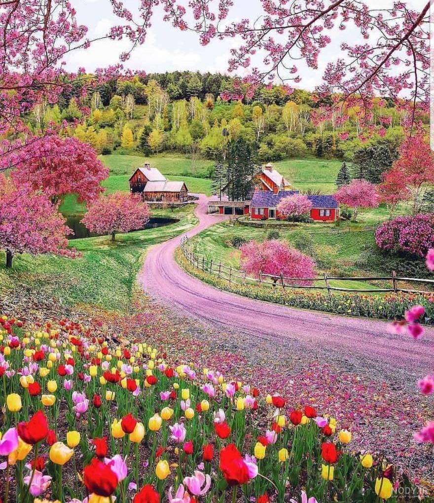 عکس طبیعت زیبا
