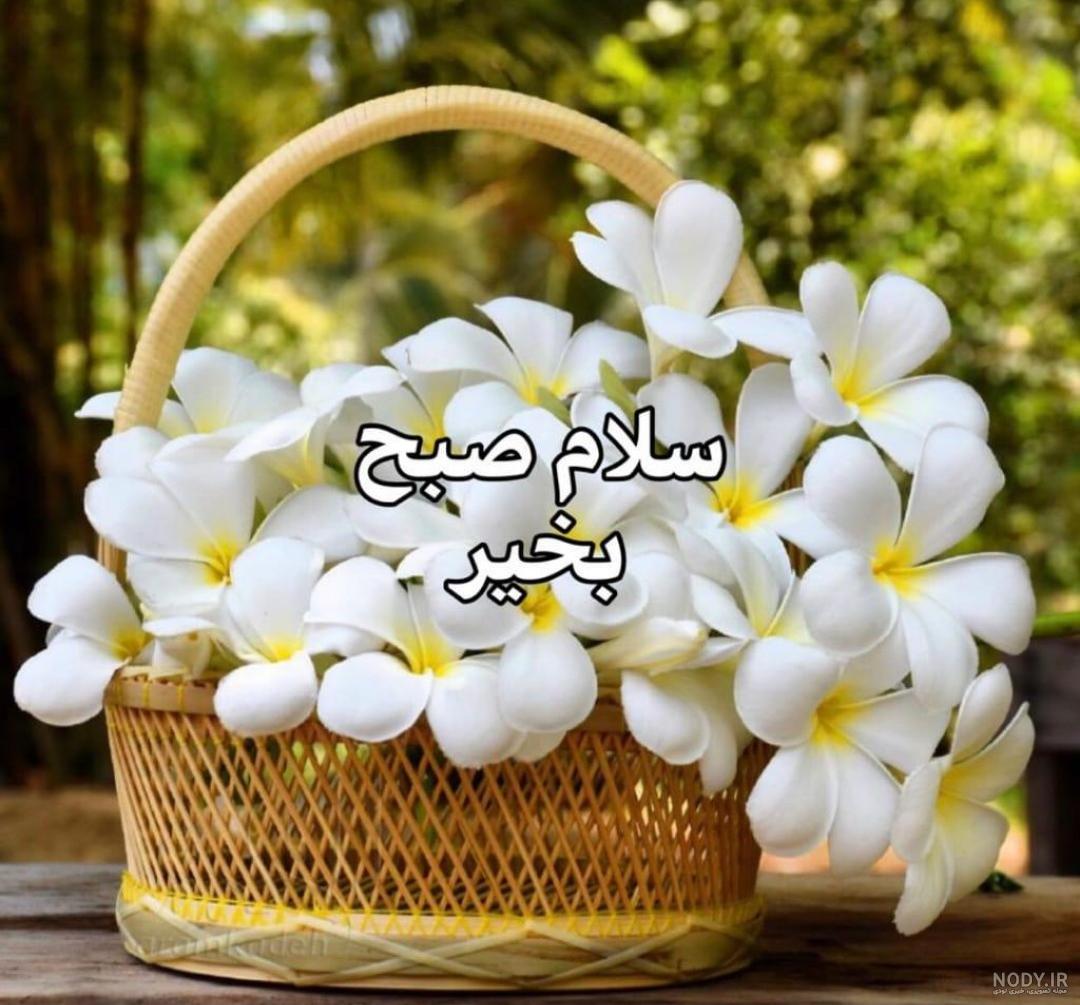 عکس صبح بخیر عاشورایی